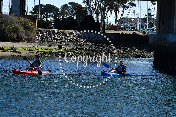 DSC_2210 (1)