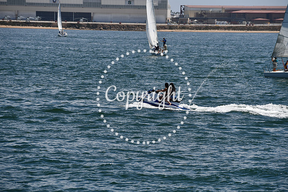 DSC_0430 (2)