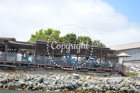 DSC_0259 - Copy