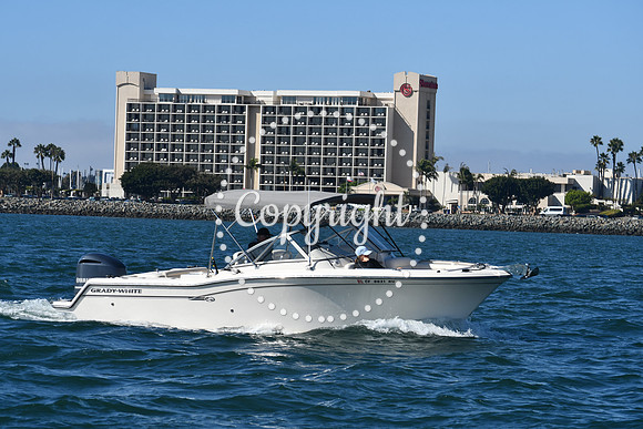 DSC_1451 (1)
