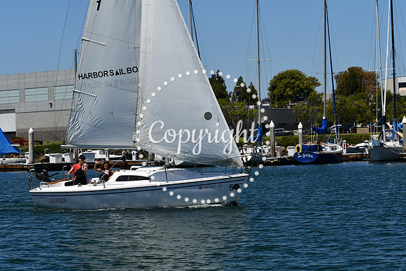 DSC_0062 (1)