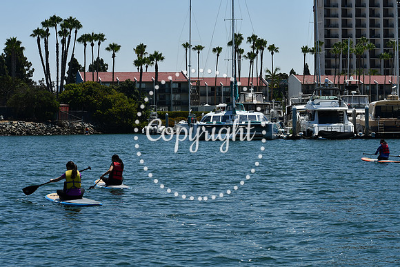 DSC_0028 (1)