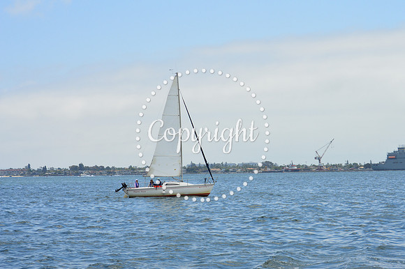 DSC_0095 - Copy