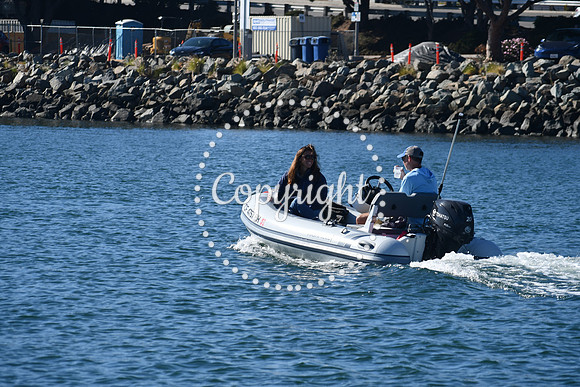 DSC_1541 (1)