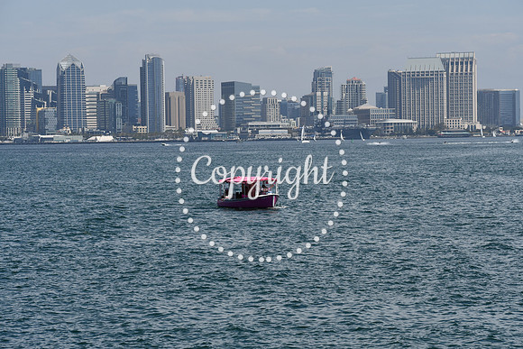 DSC_0438 (2)