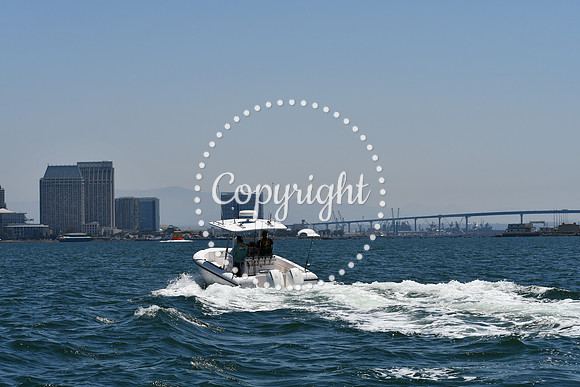 DSC_0202 (1)