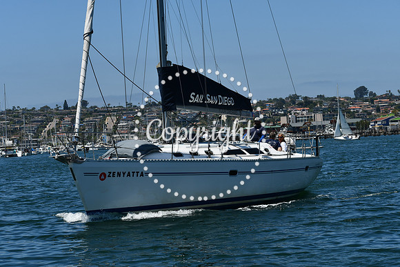 DSC_0246 (1)