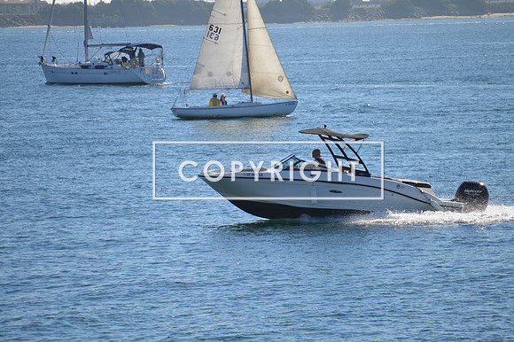 DSC_0087 (1)