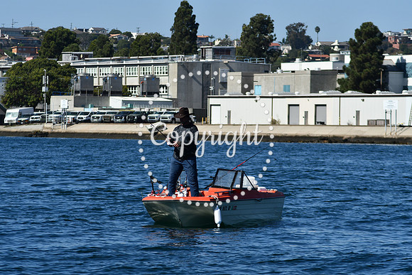 DSC_1916 (1)