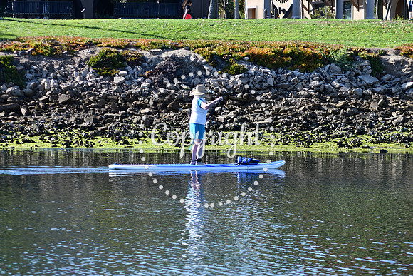 DSC_2195 (1)