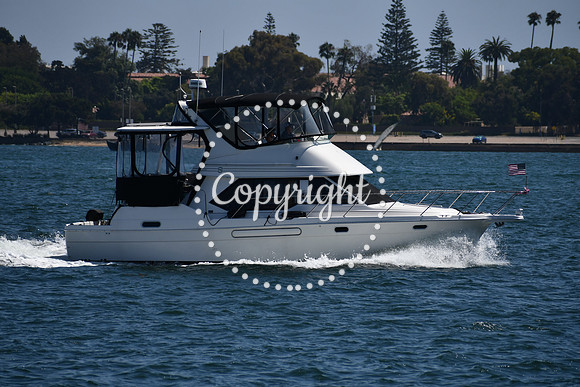 DSC_0472 (1)