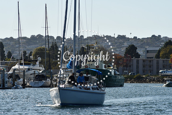 DSC_2170 (1)