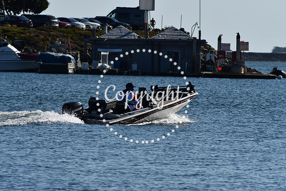 DSC_2190 (1)