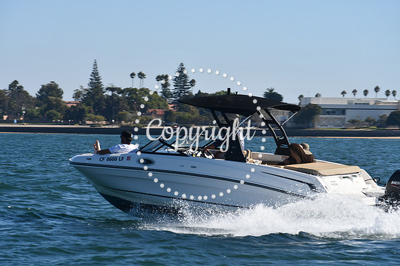 DSC_1463 (1)