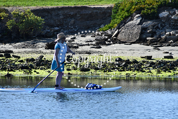 DSC_2200 (1)