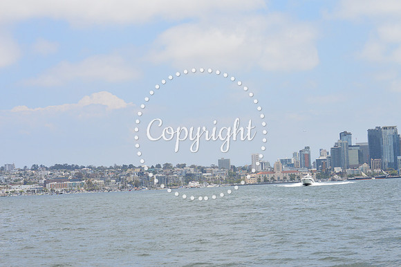DSC_0082 - Copy
