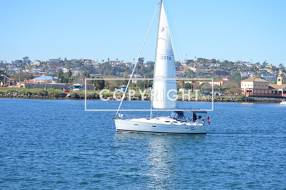 DSC_0009 (1)