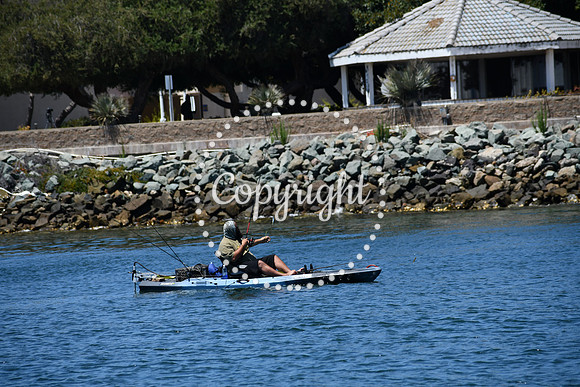 DSC_0070 (1)
