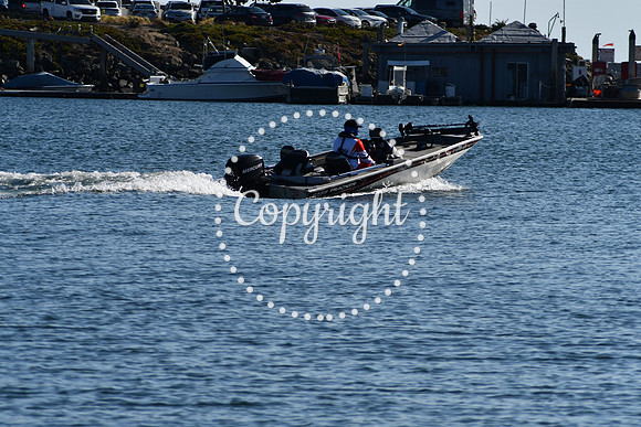 DSC_2189 (1)