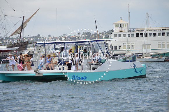 DSC_0230 - Copy
