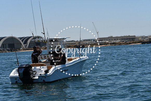 DSC_0136 (1)