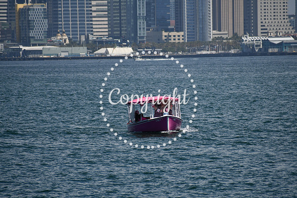 DSC_0437 (2)