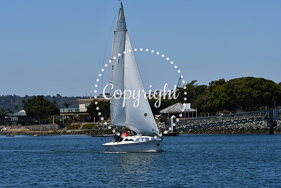 DSC_0059 (1)