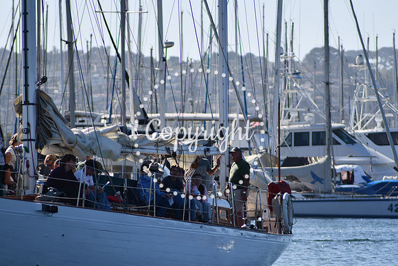 DSC_2064 (1)