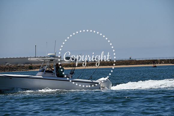 DSC_0197 (1)