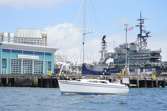 DSC_0227 - Copy