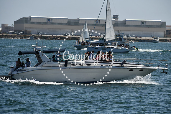 DSC_0533 (1)