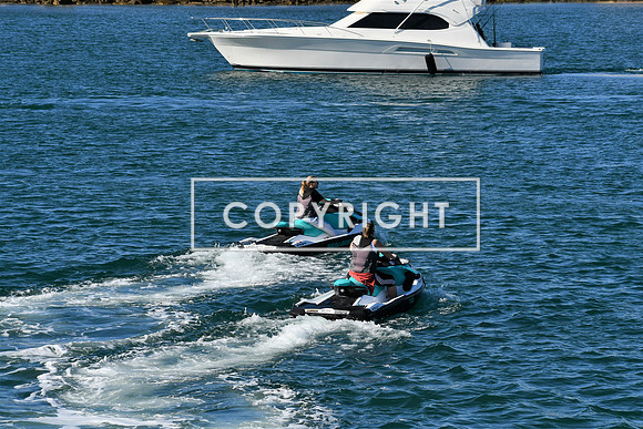 DSC_2986 (3)