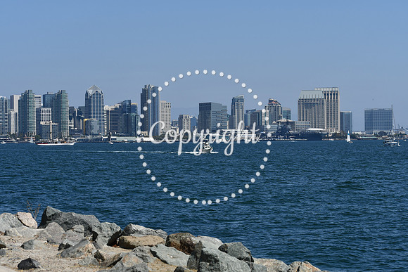 DSC_0494 (1)