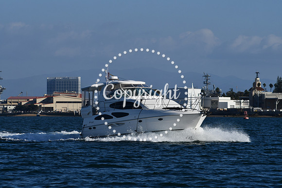 DSC_2288 (1)