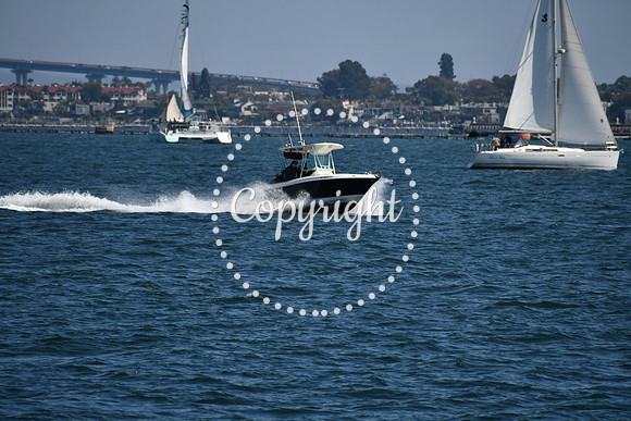 DSC_0552 (1)