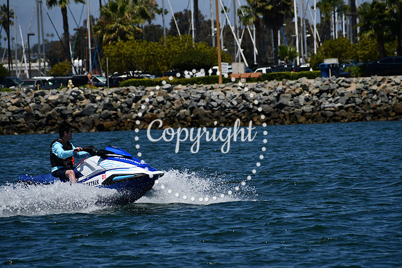 DSC_0208 (1)