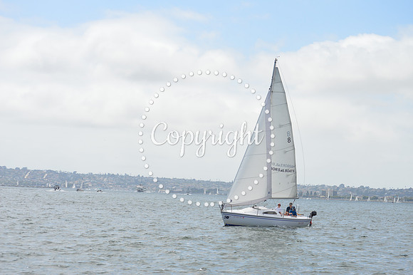 DSC_0205 - Copy