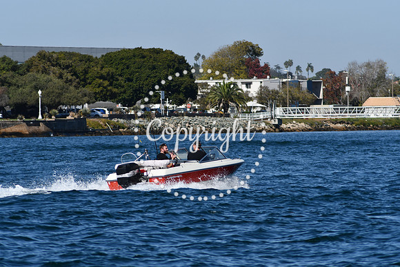 DSC_1869 (1)