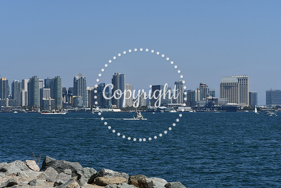 DSC_0493 (1)