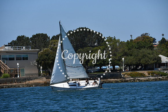 DSC_0244 (1)