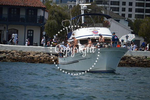 DSC_0149 - Copy