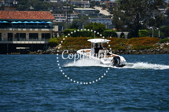 DSC_0233 (1)
