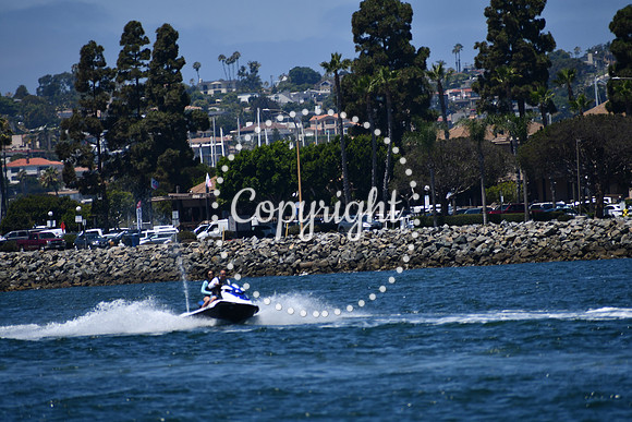 DSC_0206 (1)