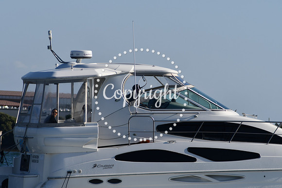 DSC_2293 (1)