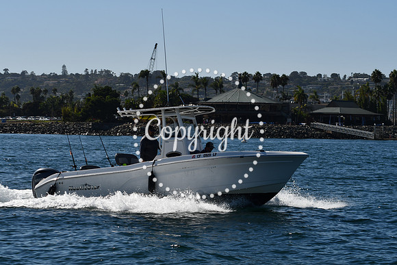 DSC_1950 (1)