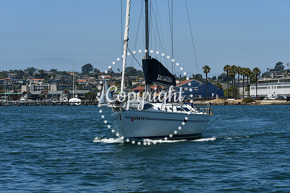 DSC_0245 (1)