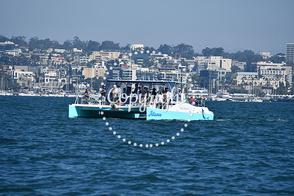DSC_1303 (1)