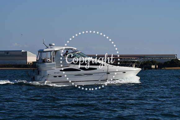 DSC_2292 (1)