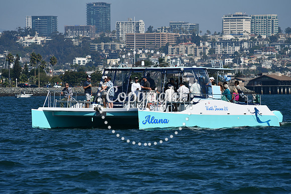 DSC_1305 (1)