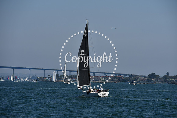 DSC_0462 (1)